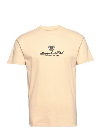 Anf Mens Graphics Beige Abercrombie & Fitch