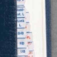 U-TAB Registerflikar till Sveriges Rikes Lag, ISBN: 9789186663025