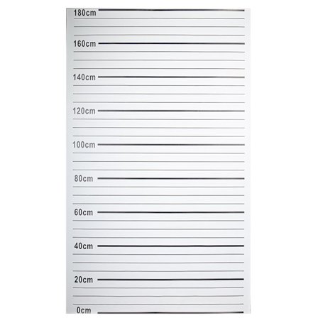 Toile de police arrestation 180 x 110 cm