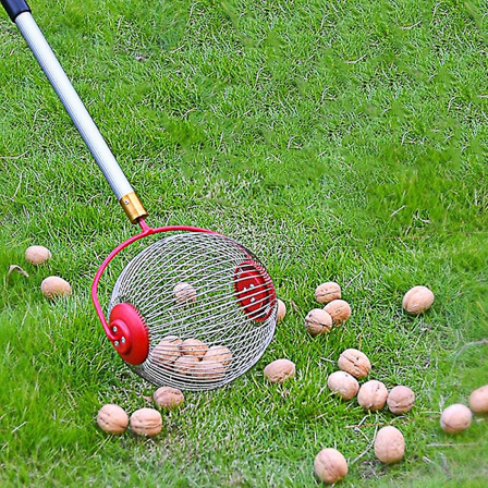 Havefrøplukker til haven - Nem at bruge og installere til kastanjer - WELLNGS