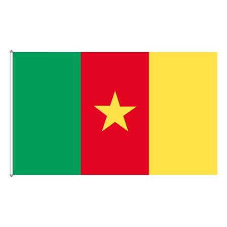 Cameroun flag
