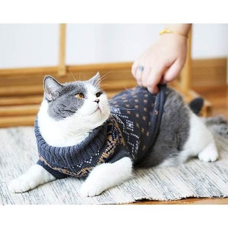 Kattetrøje til killinger og små hunde, katte vinterstrikkede klæder