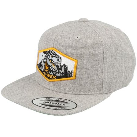 Kiddo Cap - Grå snapback Keps - Kids T-rex Orange Patch Heather Grey Snapback @ Hatstore