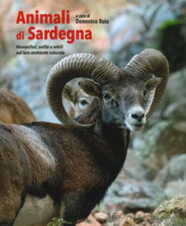 Animali di Sardegna. Mammiferi, anfibi e rettili nel loro ambiente naturale. Ediz. a colori