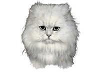 Chinchilla - klistremerker