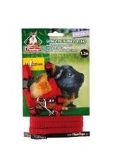 Marsvinsele med Leiebånd - Rød