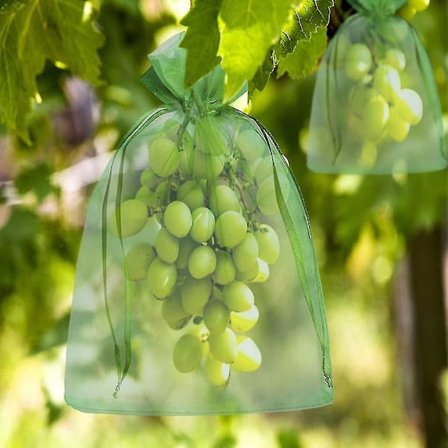 200 Pieces Bunch Protection Bag 20*30cm/13*18cm Grape Fruit Organza Bag With Drawstring Gives Total Protection