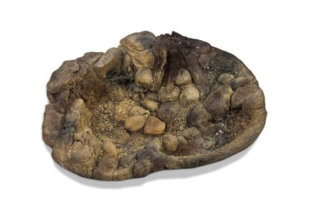 Basseng til Reptil - 29cm