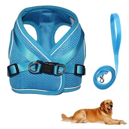 2-pack hundsele, andningsbar valp katt hundväst sele - Blå S 144 kr