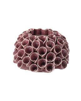 Lyslygte Shelly Rosa