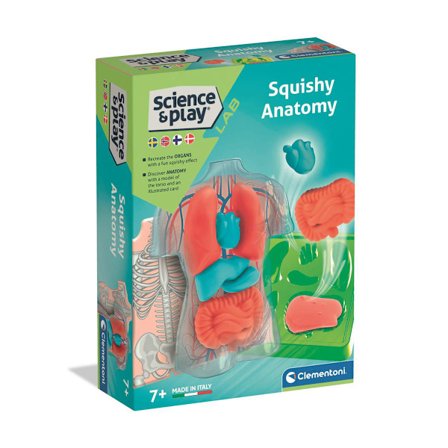 Mini Squishy Organs