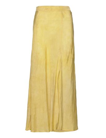 Willis Yellow Rabens Sal R