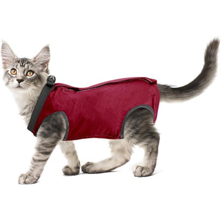 Professionell återhämtningsdräkt för katter för buksår eller hudsjukdomar, återhämtningsdräkt för kattungar efter operation, alternativ till E-krage