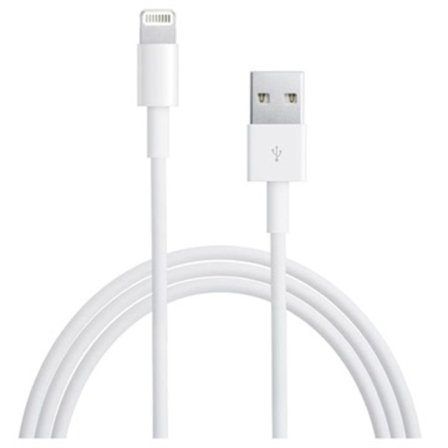 Apple MD818ZM/A Lightning / USB kabel - iPhone, iPad, iPod -...