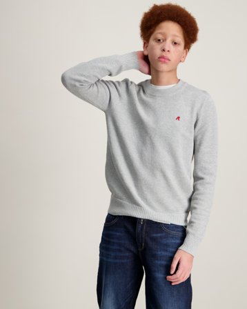 Replay Sweater Szary Swetry Chłopiec - Kids Brand Store