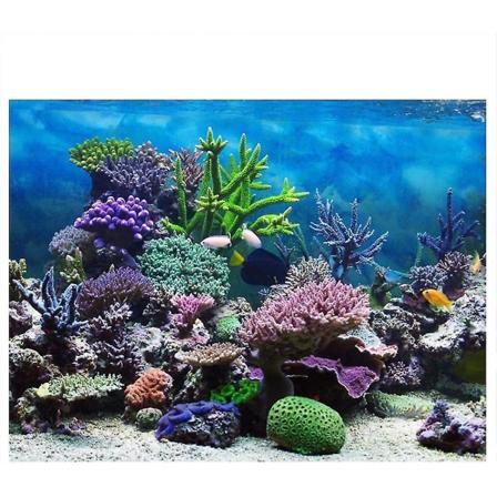 Akvarieplakat, Koralfisk Akvarium Baggrund Lærred Dekoration 3D Papir Indsæt Mærkater Marine Planter(61 * 30cm)