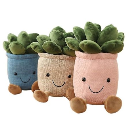 Elävät mehikasvit Pehmolelut Täytetyt koristeet Ruukkukasvit