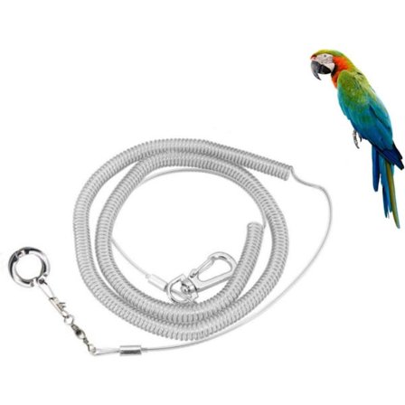 3-meter elastisk papegøjesnor, ara-snor, udendørs træningstov til kæledyrsfugle.