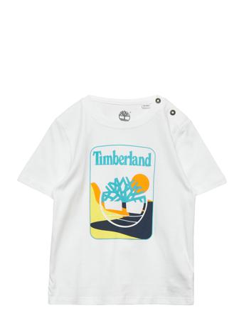 Short Sleeves Tee-Shirt White Timberland