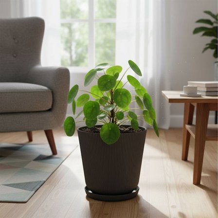 Krukor med fat, set om 2, slitstark plast