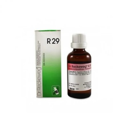 Dr. Reckeweg R29 Gocce 22ml