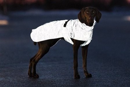 Trixie Lunas koiran heijastava sadetakki, 50–62 cm