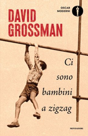 Ci sono bambini a zigzag David Grossman