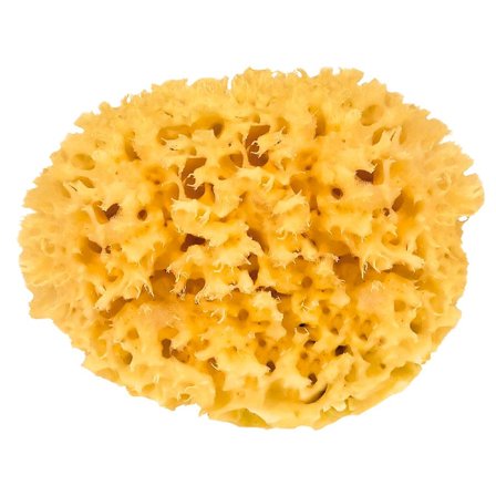 Croll & Denecke Natursvamp 14 cm, Skincare, Badetilbehør, Badesvampe
