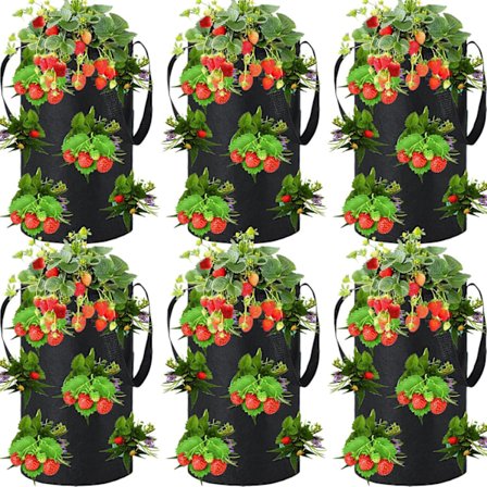 6 Stykker 11 Liter Tomat- og Urtepotte til Ophængning (Sort)