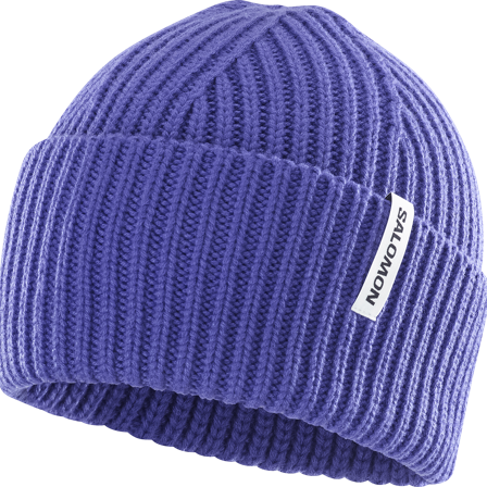 Salomon - Bonnets et casquettes Bonnets et casquettes Snowbird Beanie U - Liberty