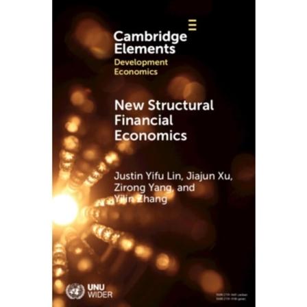 New Structural Financial Economics (häftad, eng)