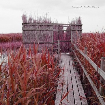 Tan-tan therapy Tenniscoats