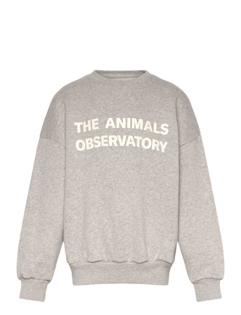 THE ANIMALS OBSERVATORY Frey Leo Sweatshirt - Grey - 8 Y