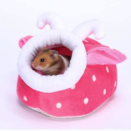 Hamsterrede i bomull, gyllen bjørn, vintervarm bomullsrede