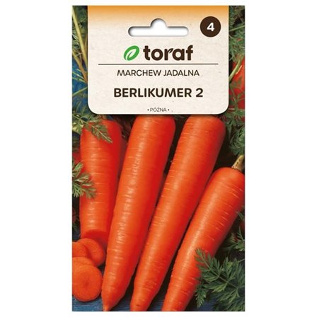 Frö till morot Berlikumer 2 – Sen sort med söt och smakrik skörd