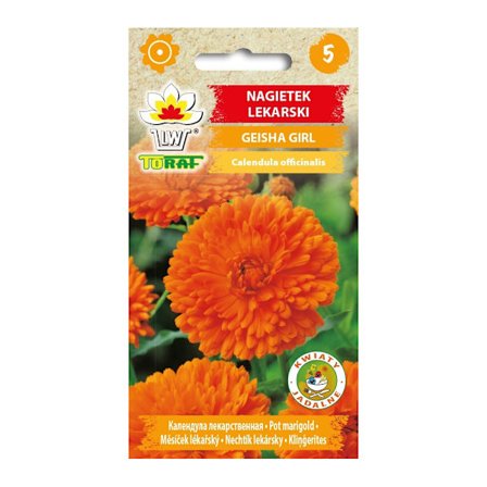 Kehäkukka Geisha Girl