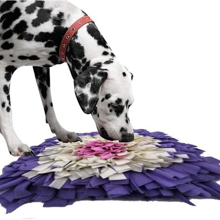 Sniffing tæppe til hunde, lugteøvelse, sniffe tæppe, fodermåtte, træningsmåtte til kæledyrshunde og katte