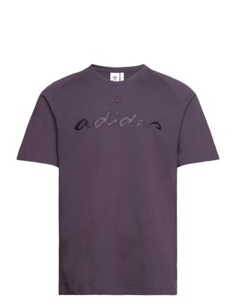 M Fash Grfx T Purple Adidas Originals