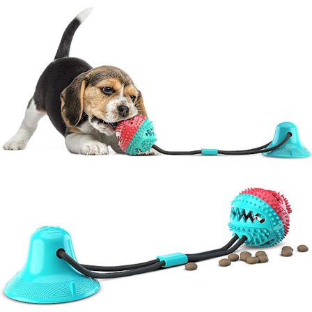 Hundespole med sugekopp, hundetyggeleker, multifunksjonell kjæledyr molar