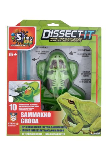 Martinex | Dissect It Frog | ONE SIZE