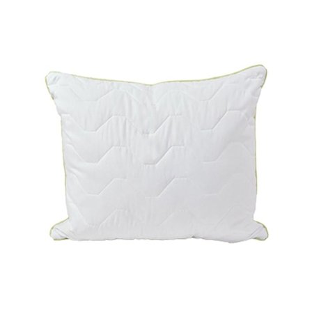 Pute ALOE VERA 50x60cm