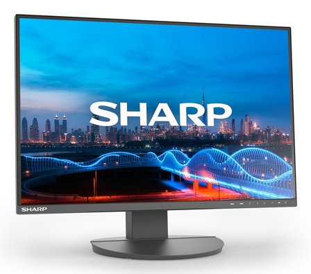 Sharp DD-EA241W BLACK 24IN IPS 1920X1200 16:10 5MS 1000:1 3