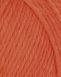 Lanka Järbo Colin Korall