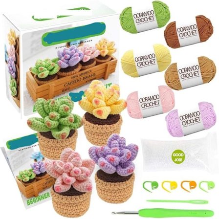 heklesett Sukkulenter for nybegynnere