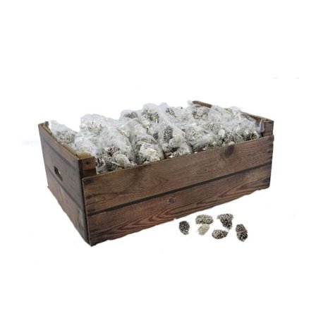 Hvide dekorative fyrrekogler til vinterdekoration