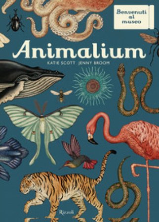 Animalium. Il grande museo degli animali Katie Scott
