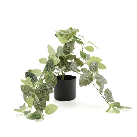 Artificial plant EVERGREEN, Hanging silver leaf, L 600 mm, 1-pack