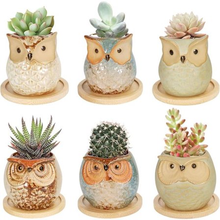 Set med 6 Mini Krukor för Sukkulenter Blomkrukor Ugglekrukor Ce
