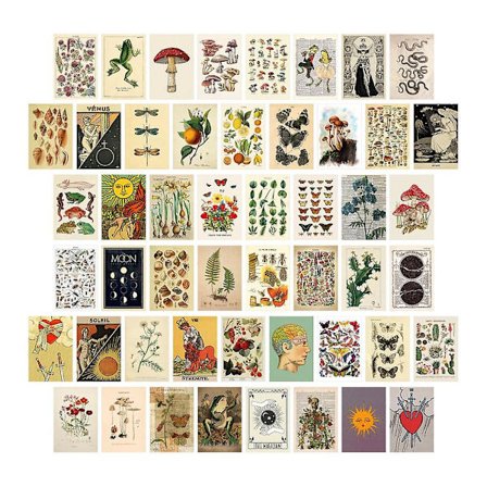 50 stk. Vintage Botanisk Tarot Æstetisk Vægcollage Kit & Fauna Insekter Illustration Kunstplakater C