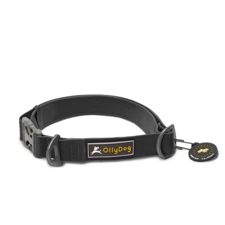 OllyDog Tilden Collar Övrigt Hund Black M